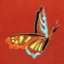 A butterfly from PARADISE BIRD & TREE