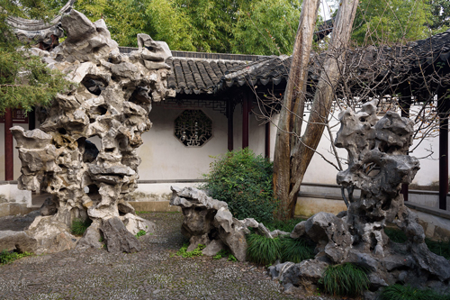 Gongshi in a Chinese Garden