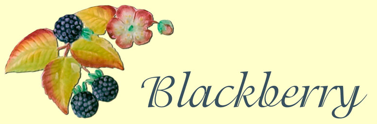 Blackberry banner